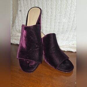 Ann Taylor Purple Velvet Mules